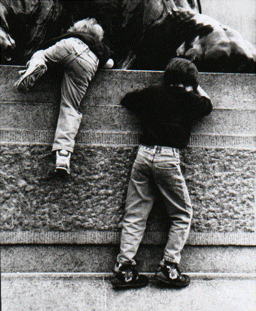 Climbing the Lions