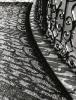 Shadows