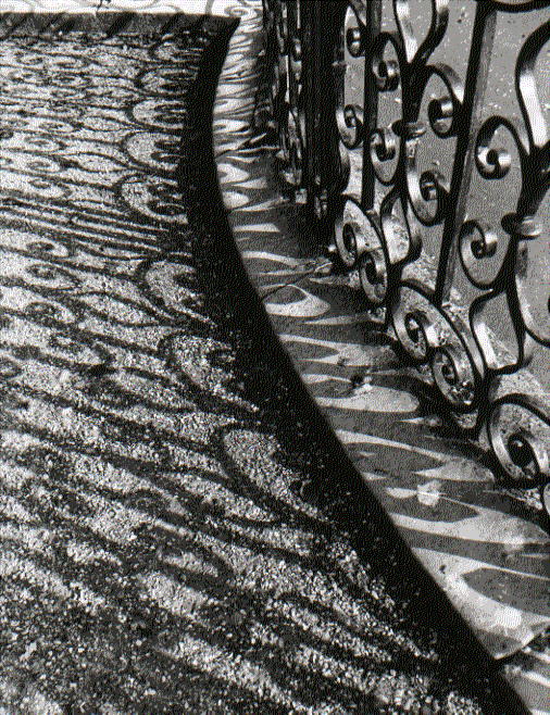 Shadows